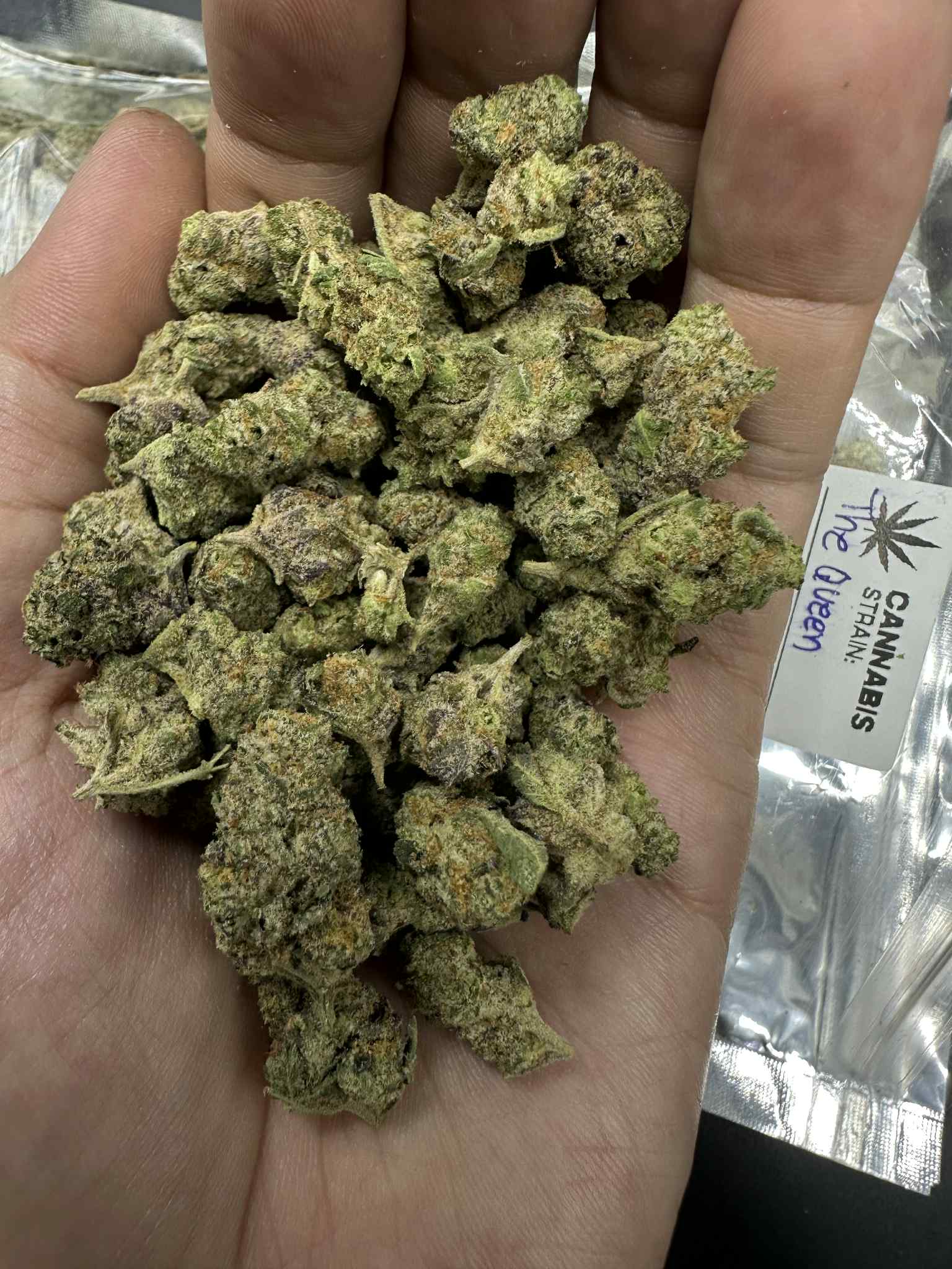 The Queen (1 Grams)(Pop)