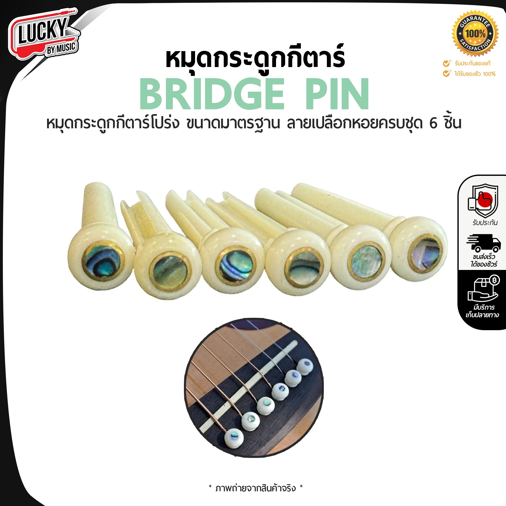 [พร้อมจัดส่ง!!] หมุดกีต้าร์โปร่ง แบบกระดูก มีลายเปลือกหอย Bridge Pin หมุดกีต้าร์ หมุดกระดูก สีขาว ครบชุด 6 ชิ้น