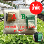 ปุ๋ย AB น้ำนิ่ง ผักสลัด/ผักไทย ฯ ชุดคู่ 10 ลิตร