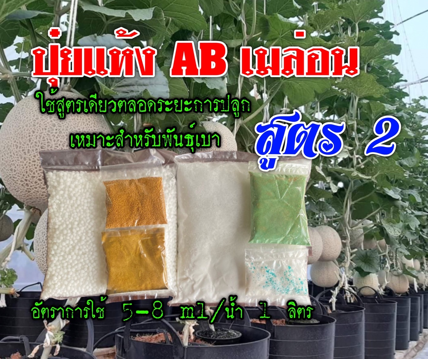 ปุ๋ยแห้ง A/B เมล่อน สูตร 2 ชุด 40 ลิตร