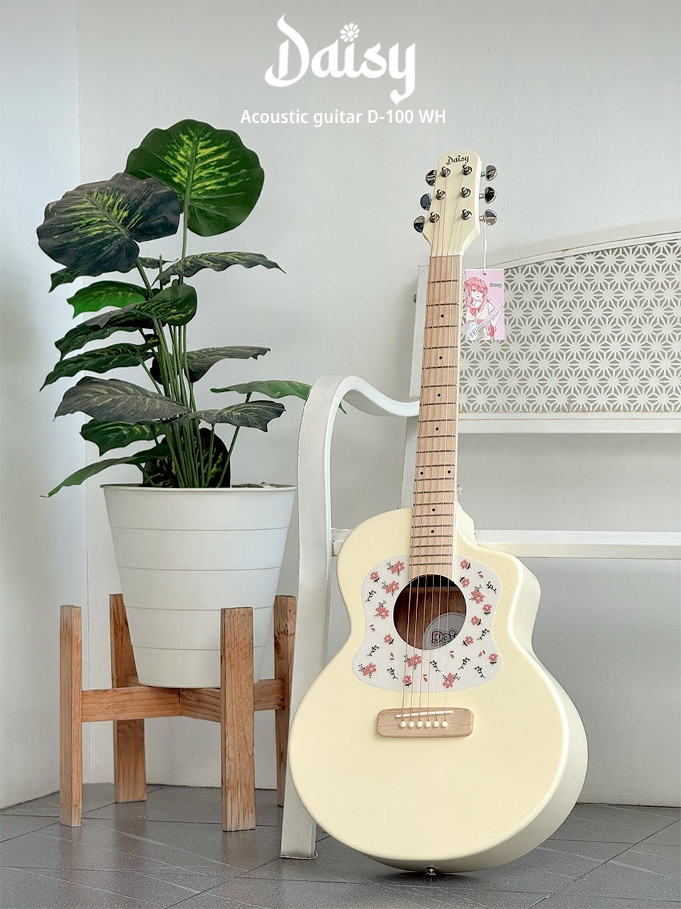 Daisy กีตาร์โปร่ง รุ่น D-100 ขนาด 36 นิ้ว ปิ๊กการ์ดลายดอกไม้ พร้อม ปิ๊ก4อัน คู่มือ