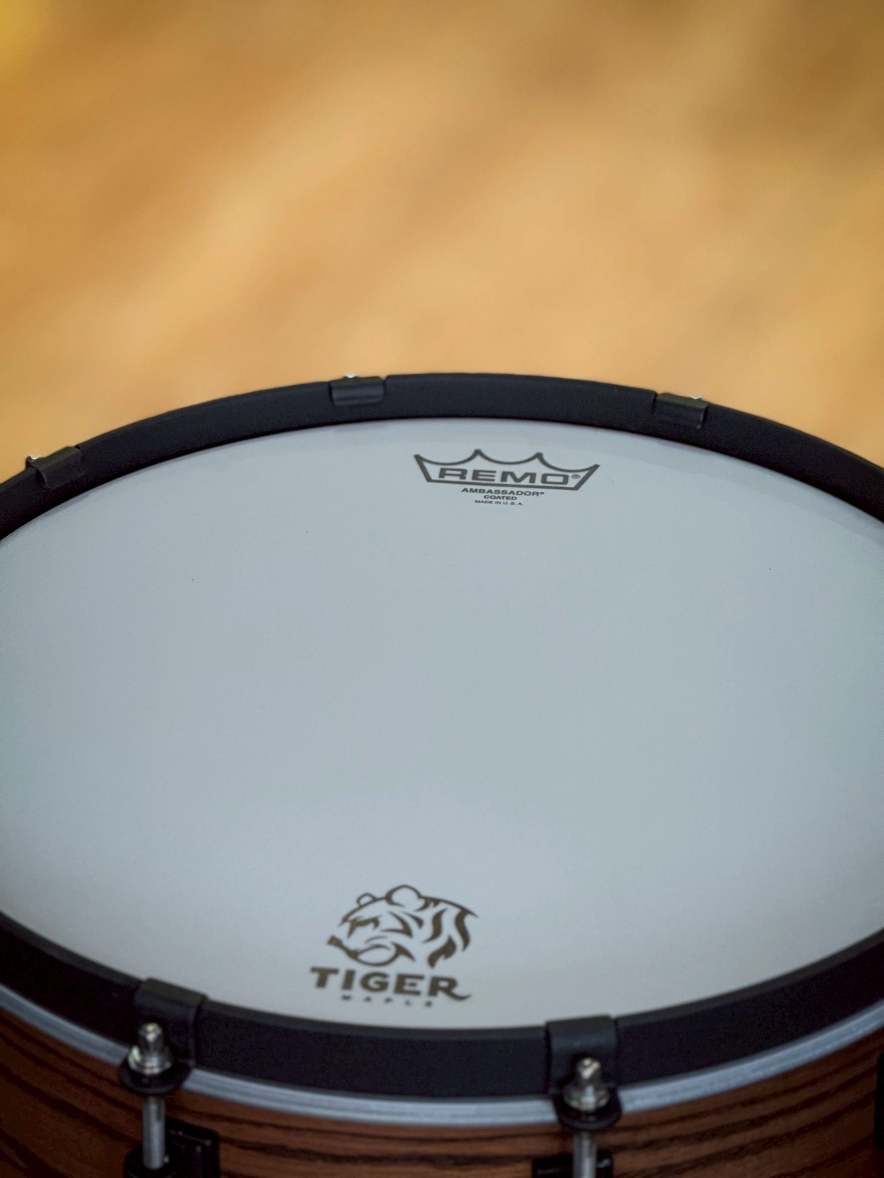 กลองสแนร์ CMC รุ่น Tiger Maple x Ass BRWN (Blacksand Hardware)
