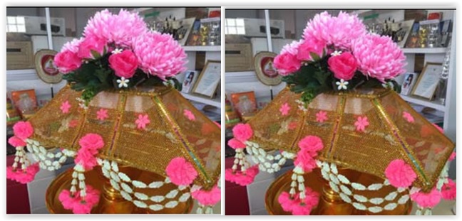 ครอบไตรตาข่าย