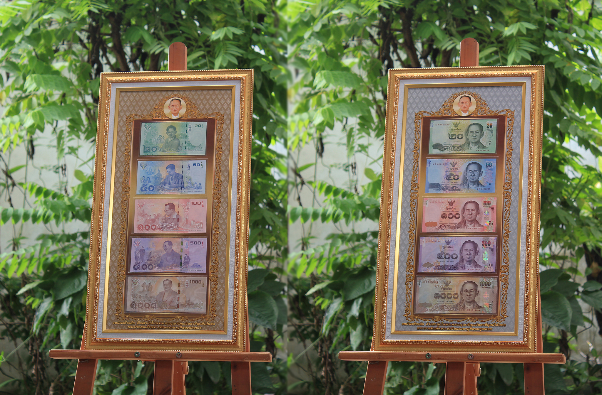 กรอบรูปใส่แบงค์ 6 ใบ ใส่ธนบัตร 5 ใบ
