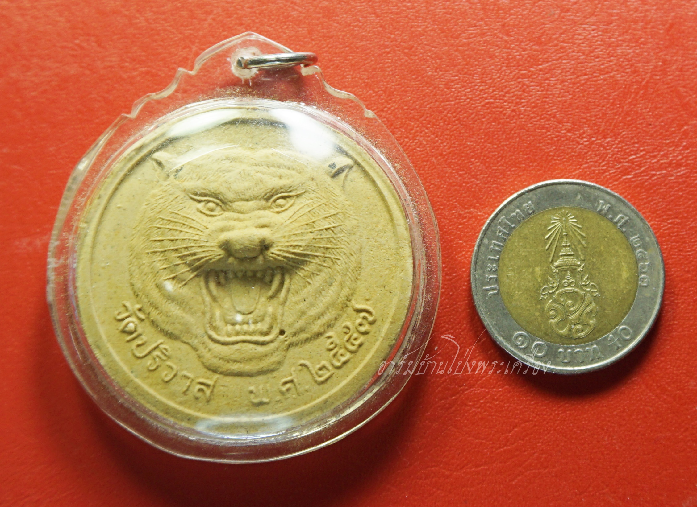 เสือ วัดปริวาส พ.ศ.๒๕๕๗ เนื้อผง สีเหลือง(องค์ที่1)