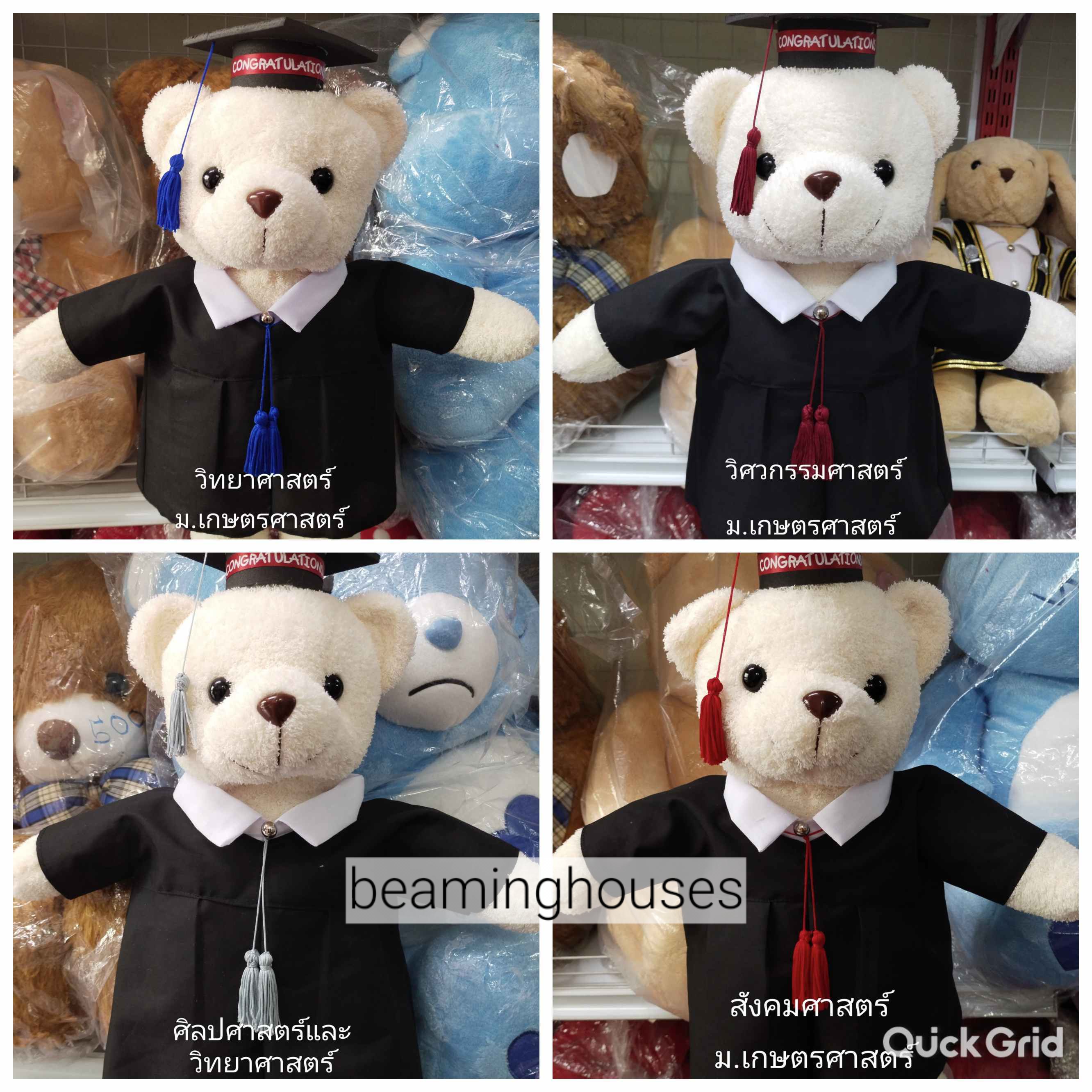 หมีรับปริญญาม.เกษตรศาสตร์ สูง 45cm