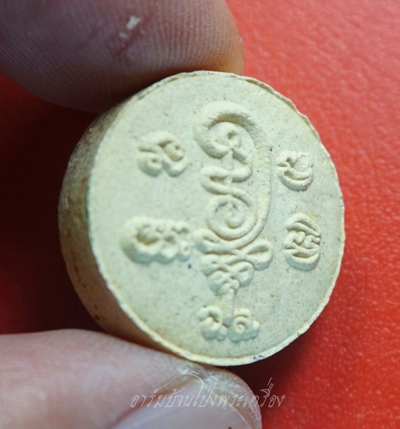 สาริกาป้อนเหยื่อ หลวงพ่อไพฑูรย์ วัดโล่ห์สุทธาวาส จ.อ่างทอง(องค์ที่1)