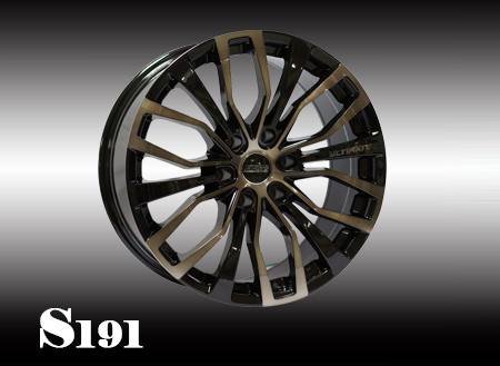 ssw s191