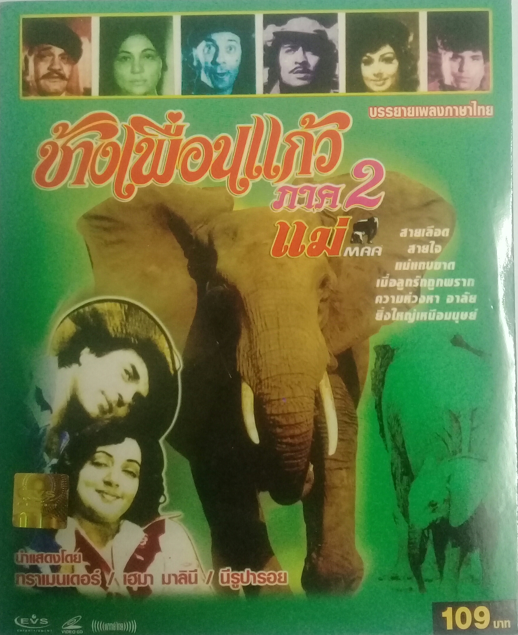 ช้างเพื่อนแก้ว ภาค2(แม่)