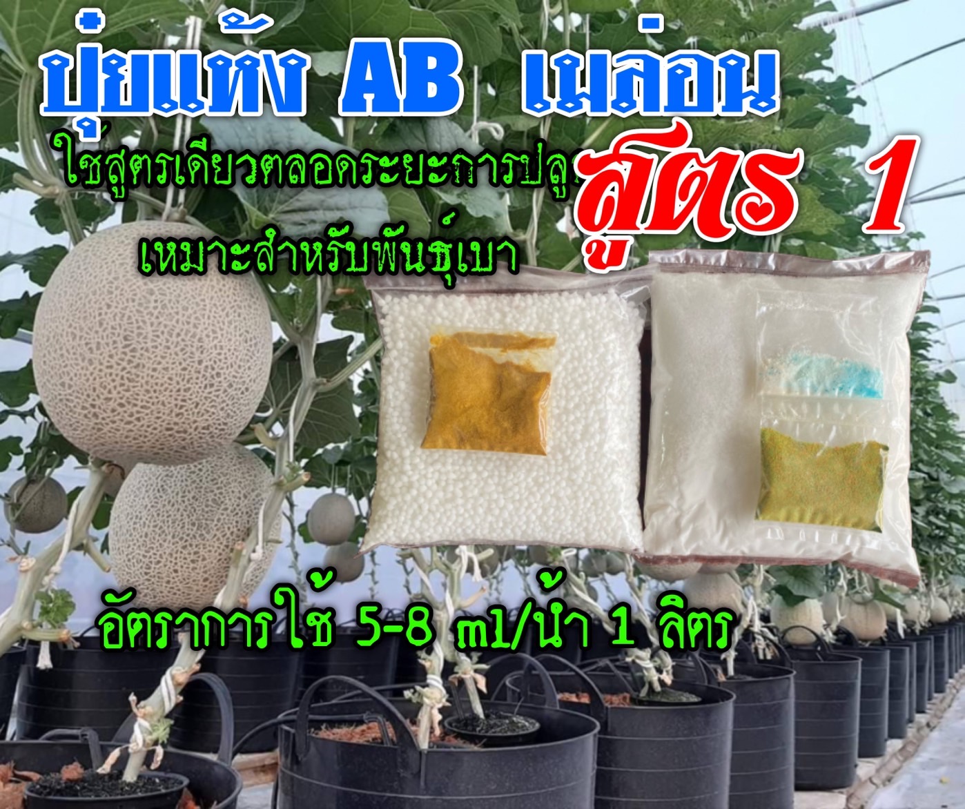 ปุ๋ยแห้ง A/B เมล่อน สูตร 1 ชุด 50 ลิตร