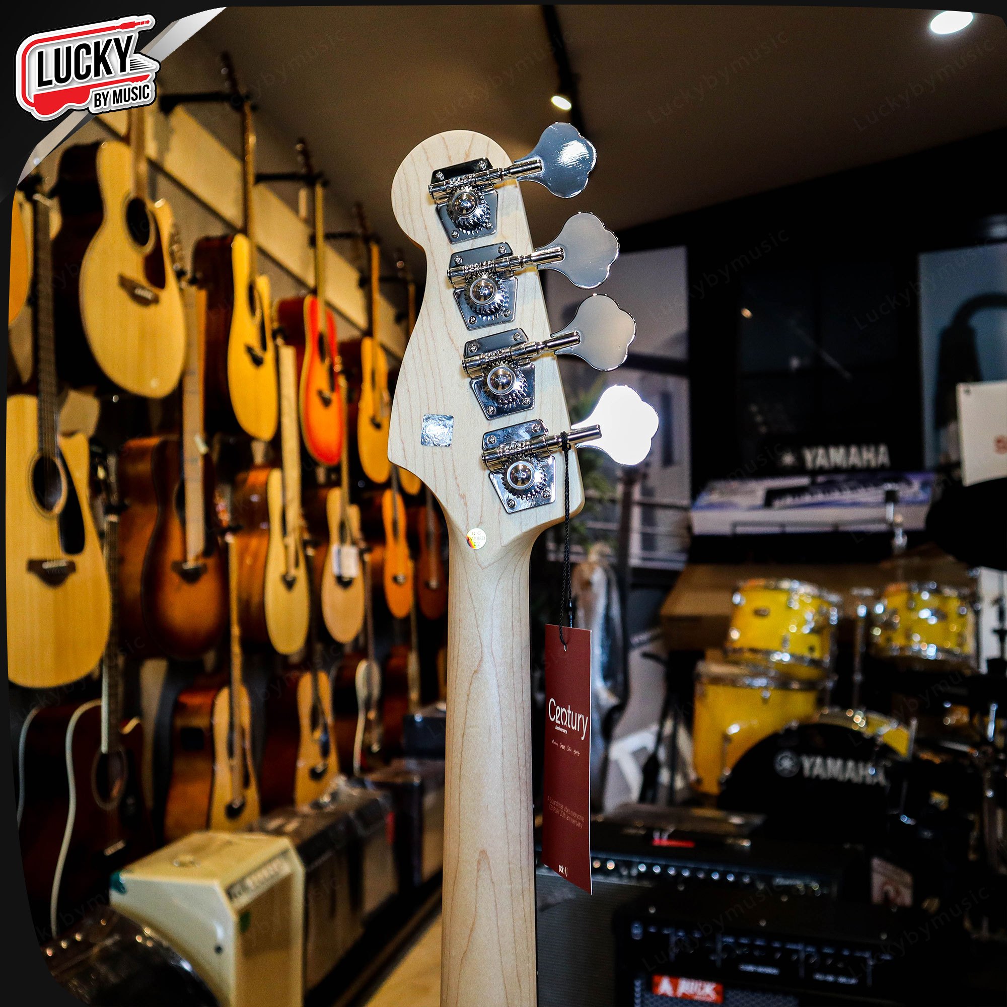 เบสไฟฟ้า Century Standard Genetion 2 P Bass มีให้เลือกทั้งเซ็ทเริ่มต้นและเซ็ทพร้อมตู้แอมป์ Mr.7 TB-15