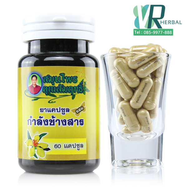 กำลังช้างสาร สมุนไพรคุณสัมฤทธิ์ 1 กระปุก 60 แคปซูล
