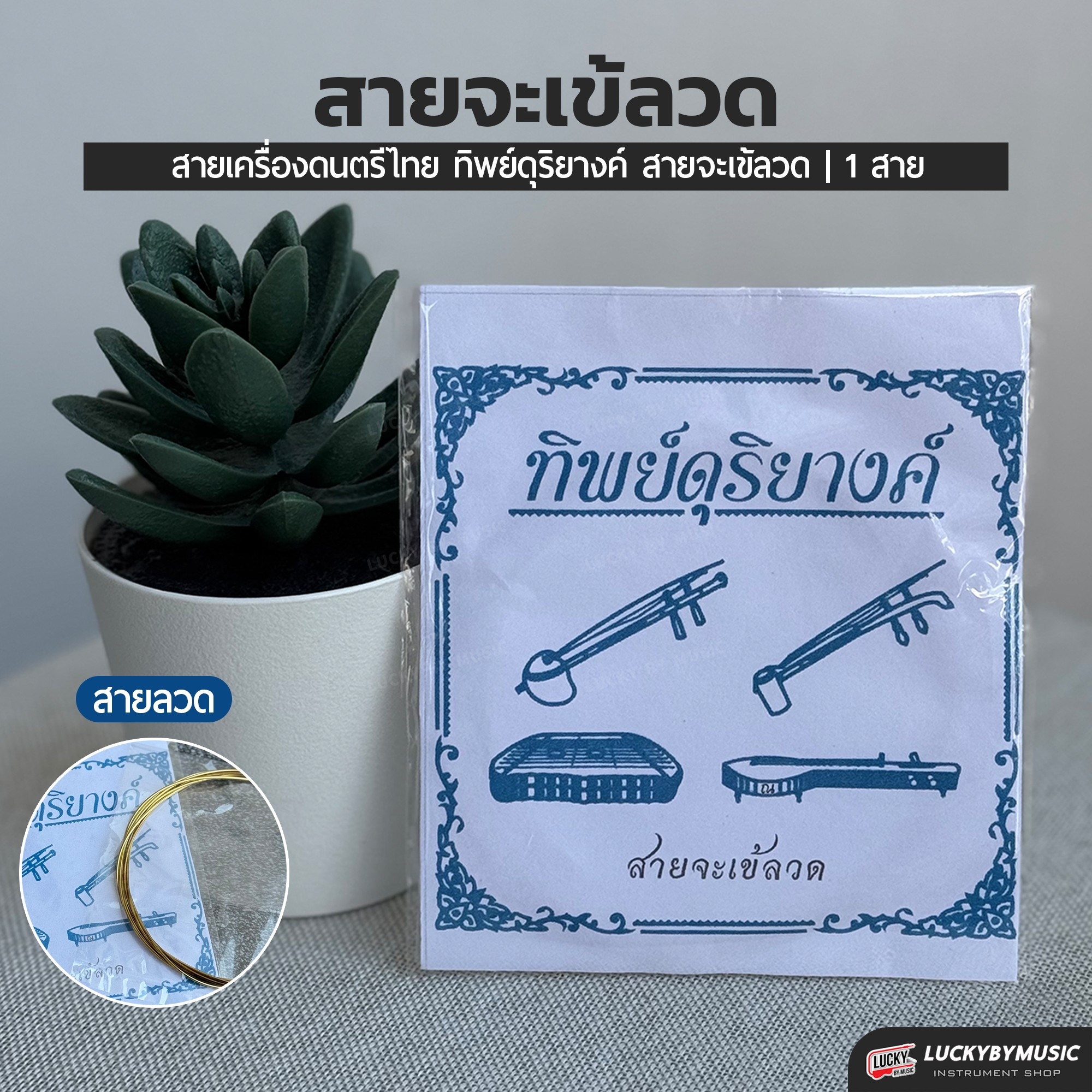 สายจะเข้ เอก ทุ้ม ลวด สายคุณภาพ ขนาดมาตรฐาน เสียงใส เลือกซื้อ แยก หรือ ครบชุด ได้