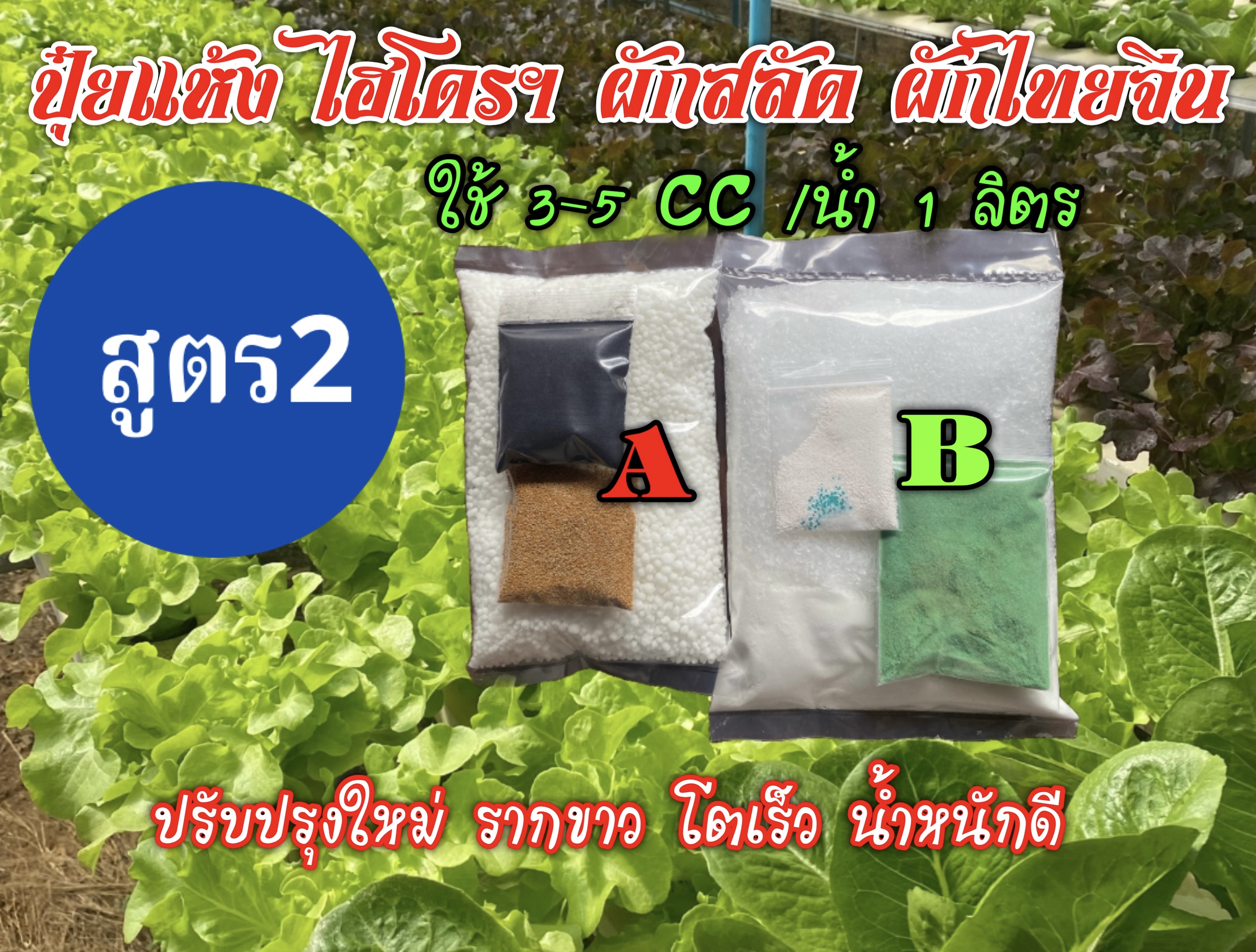 ปุ๋ยแห้ง AB ผักสลัดฯ สูตร 2 ชุดคู่ 25ลิตร