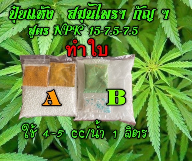 ปุ๋ยแห้ง AB สมุนไพรฯ สูตรทำใบ 15-7.5-7.5 ชุด 3 ลิตร