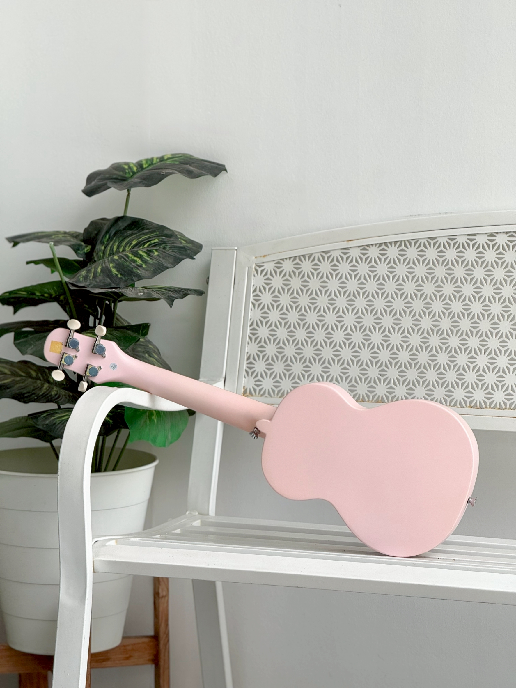 Daisy Ally อูคูเลเล่ไซส์คอนเสิร์ต Top Solid พร้อมกระเป๋า