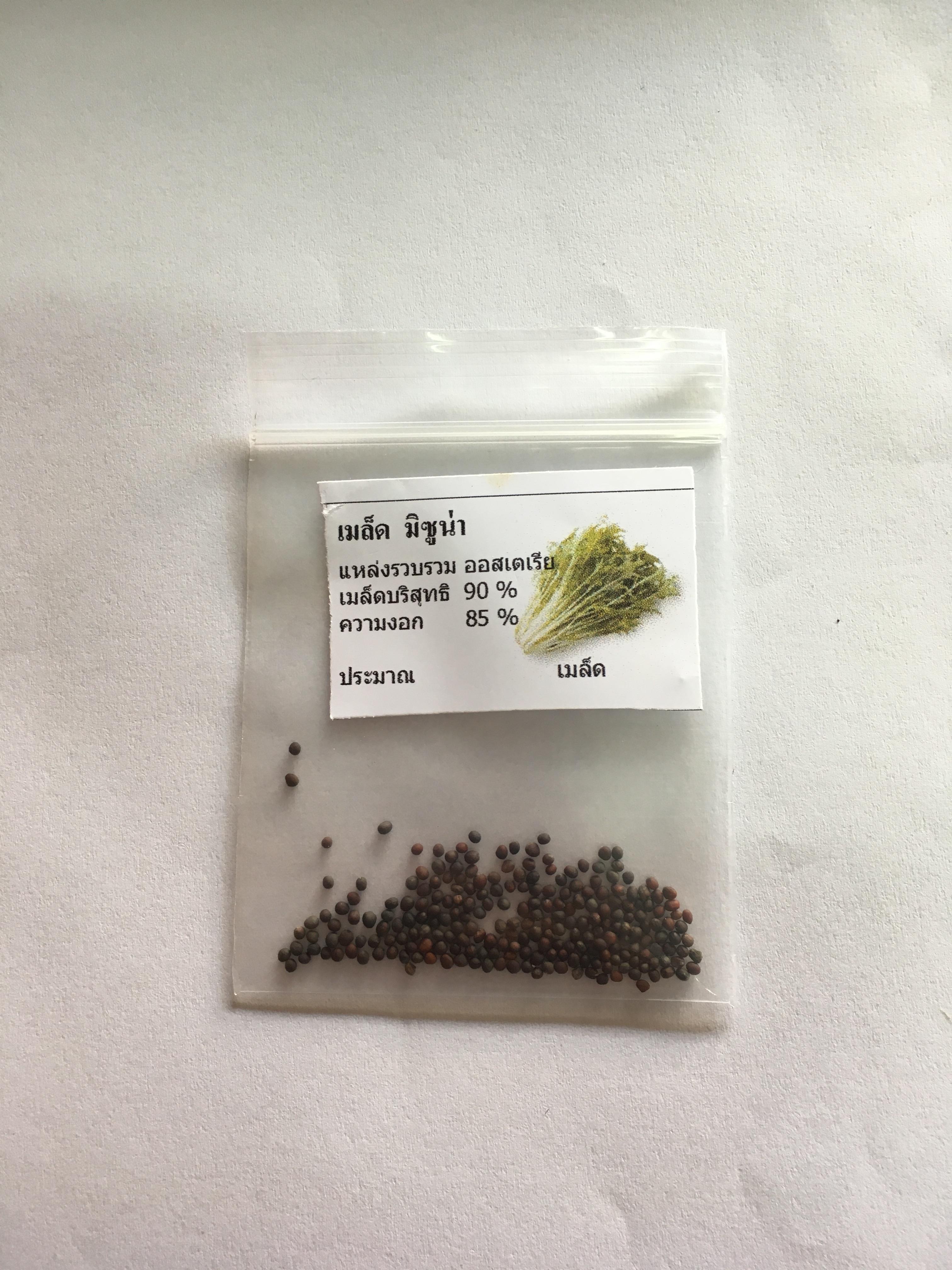 เมล็ดมิซูน่า 5500-6000 เมล็ด นน. 10 กรัม
