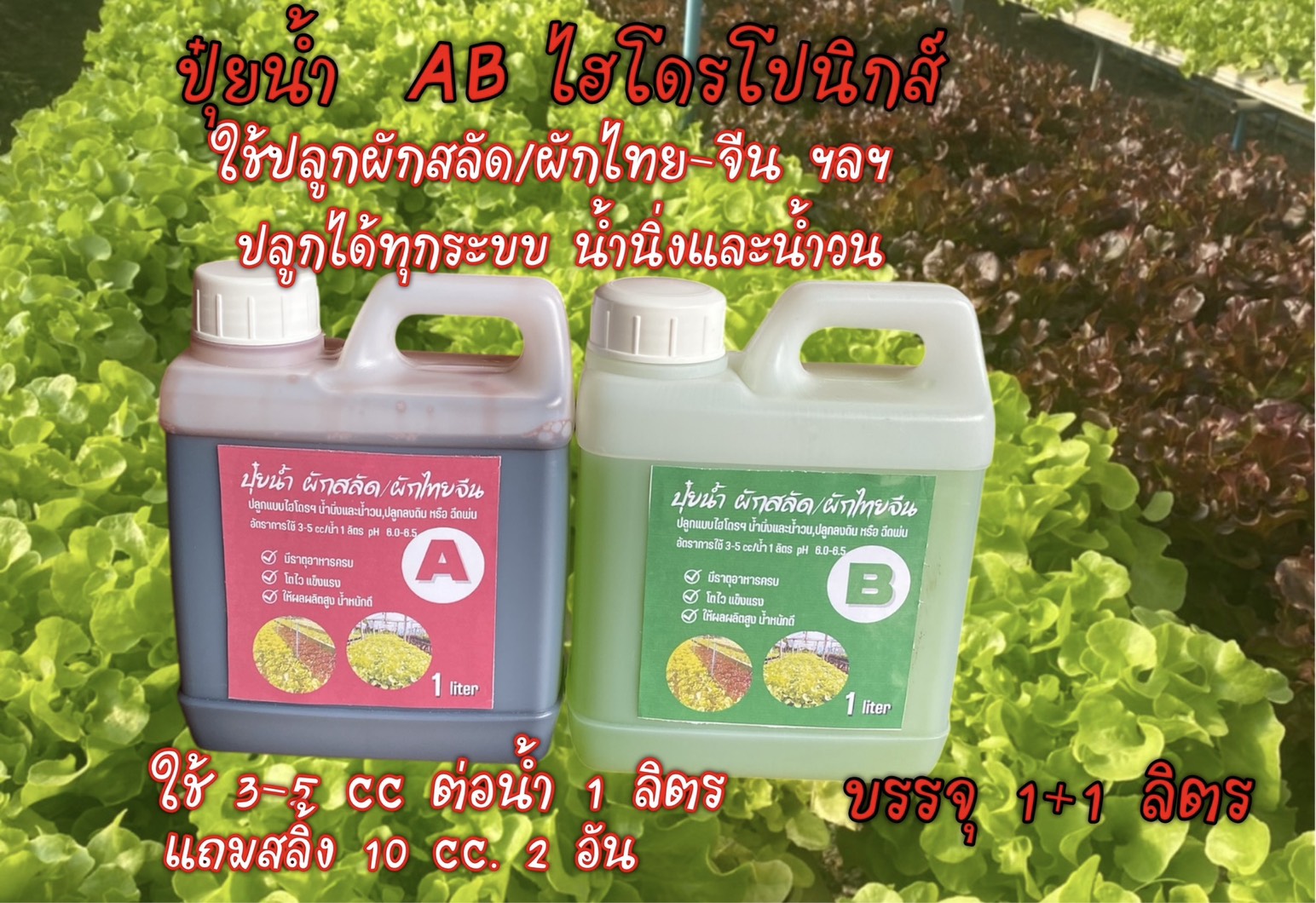 ปุ๋ยน้ำ AB ผักสลัดฯแบบแกลลอน ชุด 1+1ลิตร