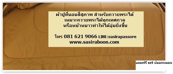 ผ้าปูที่นอนพระสีสุภาพ ขนาด 5ฟุต-6ฟุต