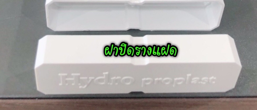 ฝาปิดรางแฝด