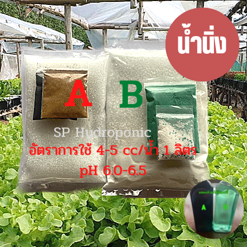 ปุ๋ย AB น้ำนิ่ง ผักสลัด/ผักไทย ฯ ชุดคู่ 2 ลิตร