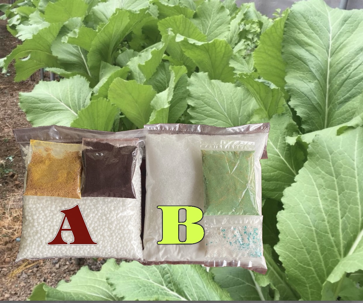 ปุ๋ยแห้ง A B ผักไทย/จีน ฯลฯ ชุดคู่1 ลิตร