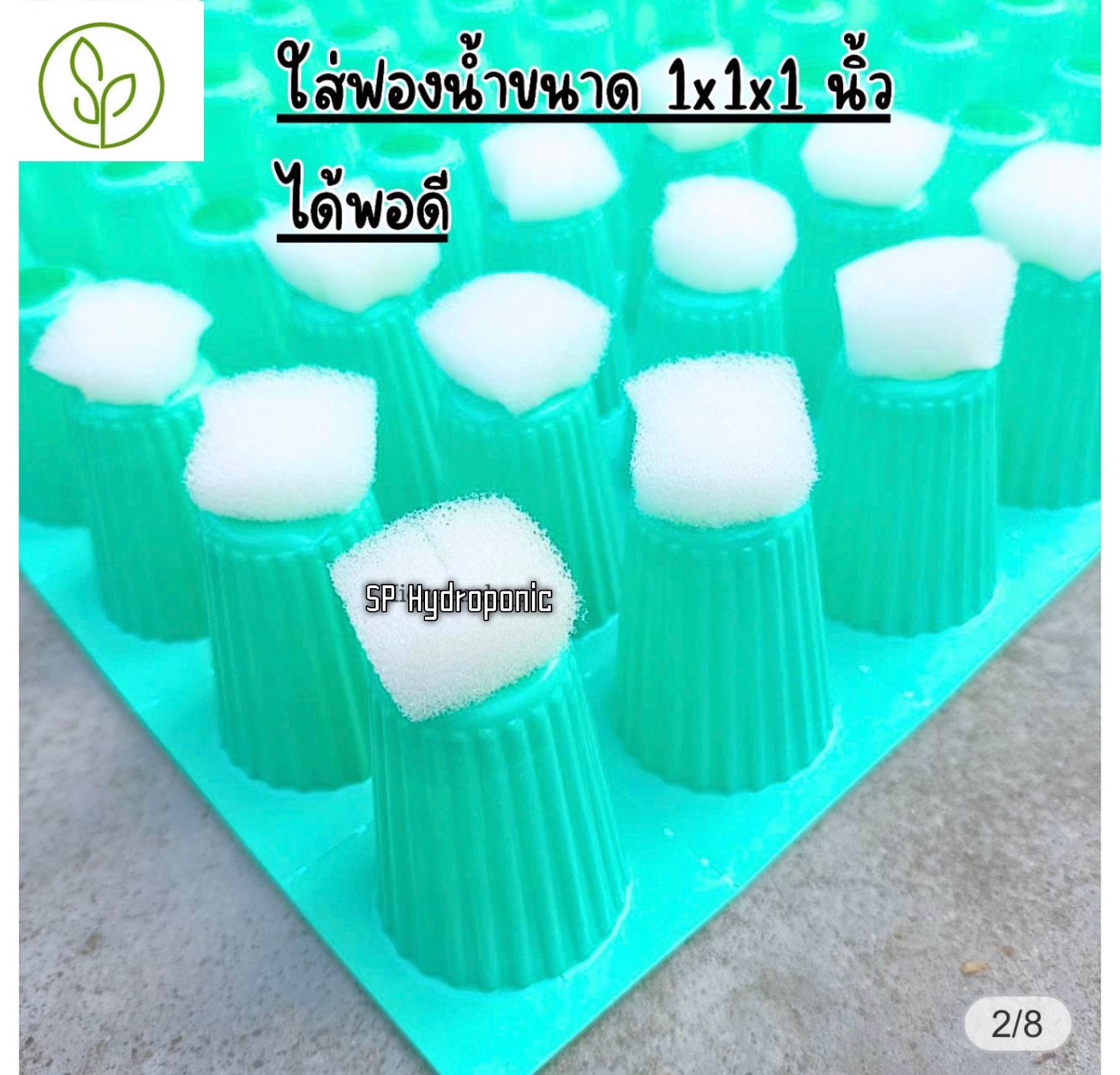 ถ้วยเขียวตัดก้น ยกลัง 100 แผง