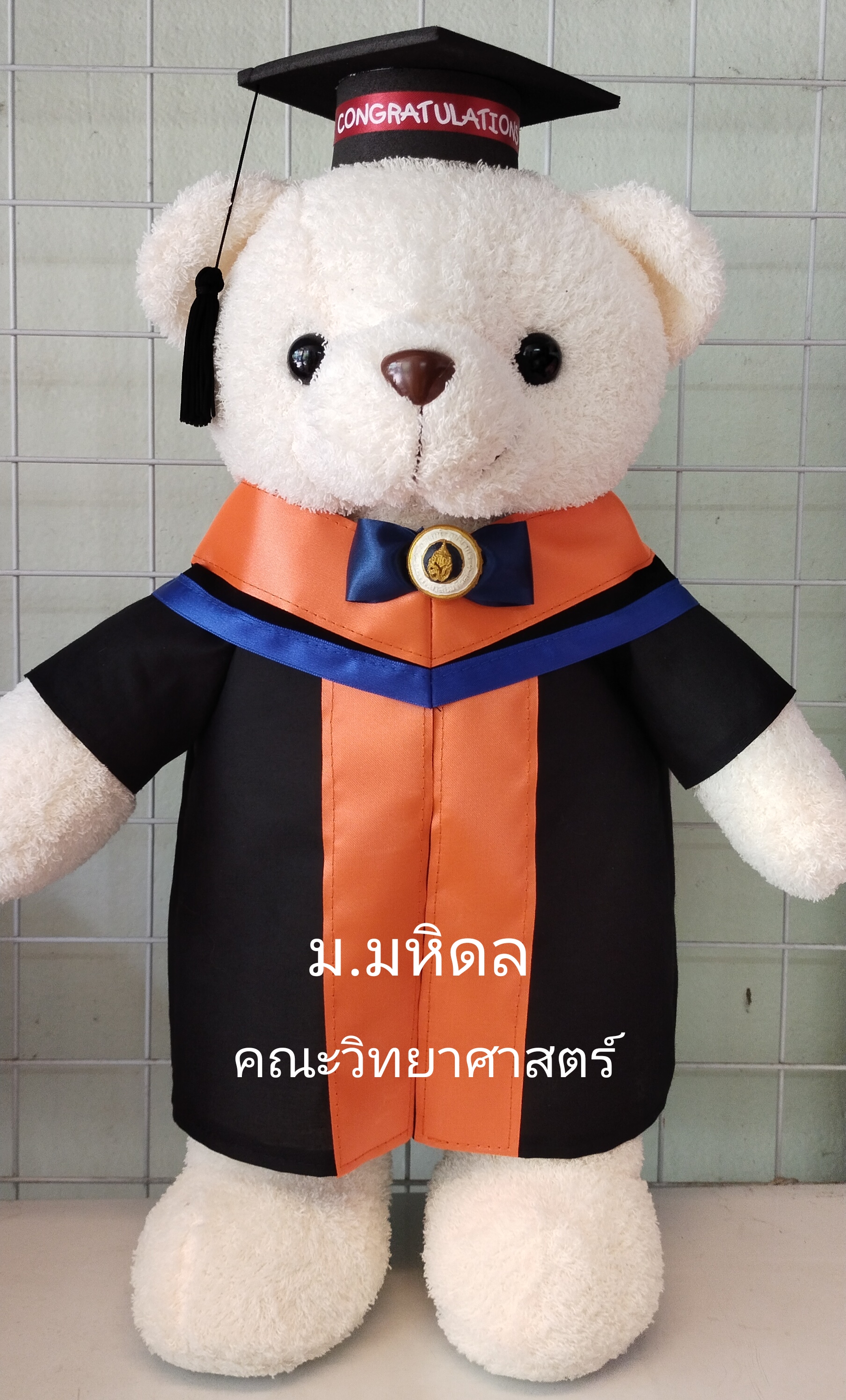 หมีรับปริญญาม.มหิดล ขนาด 45cm