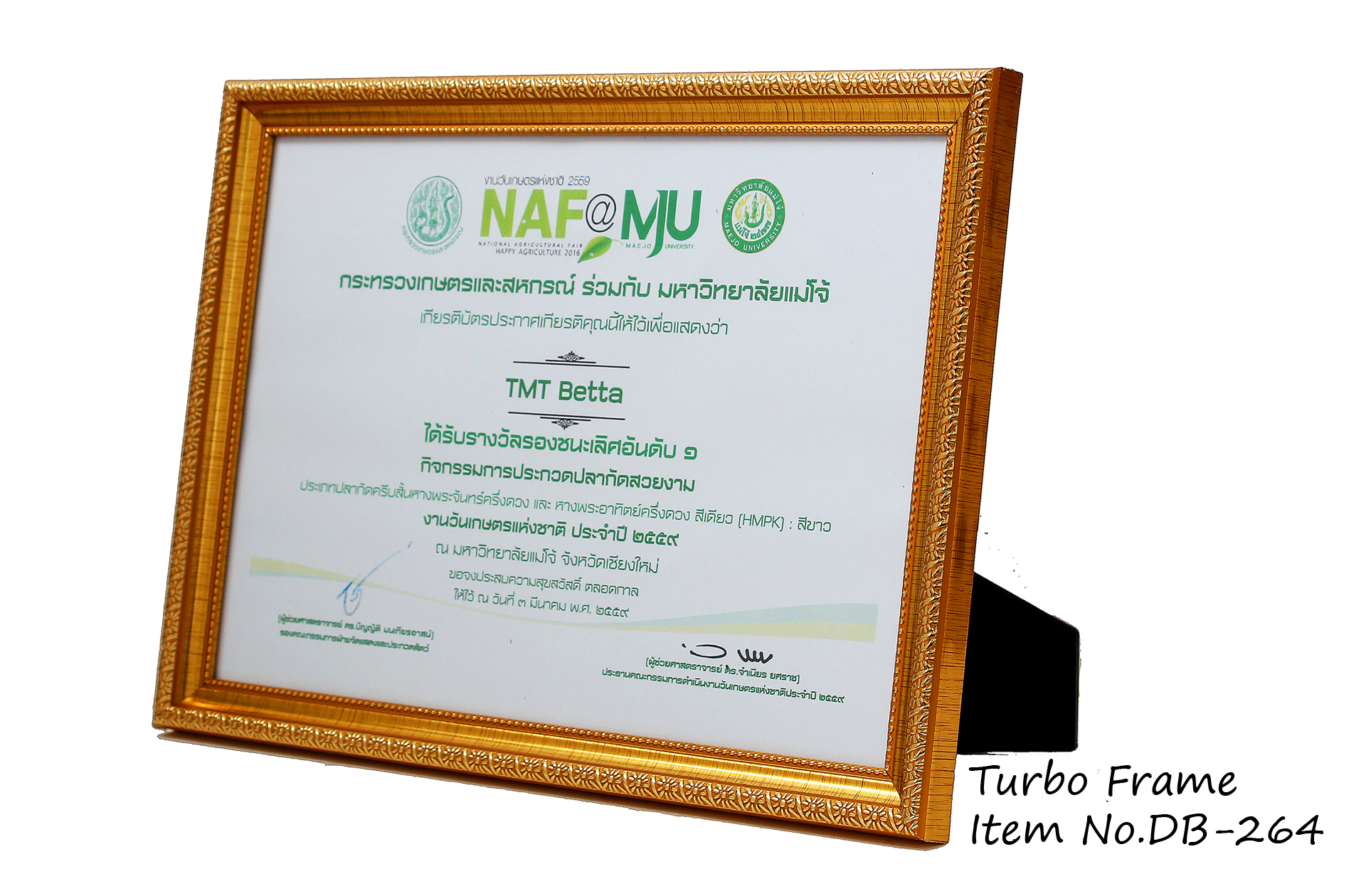 กรอบรูปใส่ใบประกาศ กรอบขนาดA4 DB264 Gold