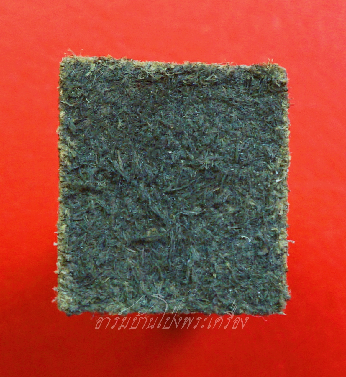 หลวงพ่อจำเนียร วัดถ้ำเสือ จ.กระบี่ รูปเหมือนตอกหนังแท้(องค์ที่1)