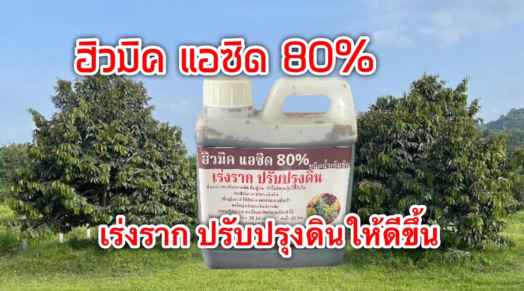 ฮิวมิค แอซิด 80 % (เร่งราก ปรับปรุงดิน) ชนิดน้ำ บรรจุ แกลลอน 1 ลิตร