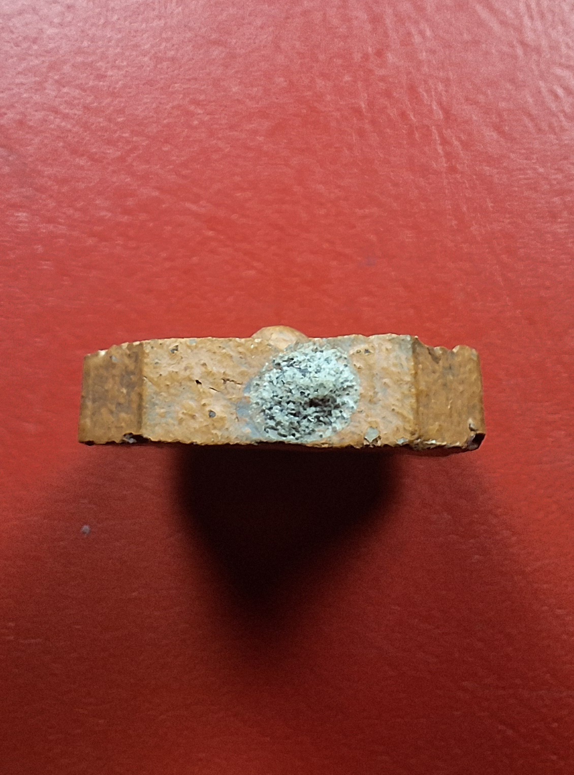 หลวงพ่อปาน วัดศาลพันท้ายนรสิงห์ ปี๒๕๕๓ ขี่ปลา อุดผงเก่าหลวงพ่อปาน(องค์ที่1)