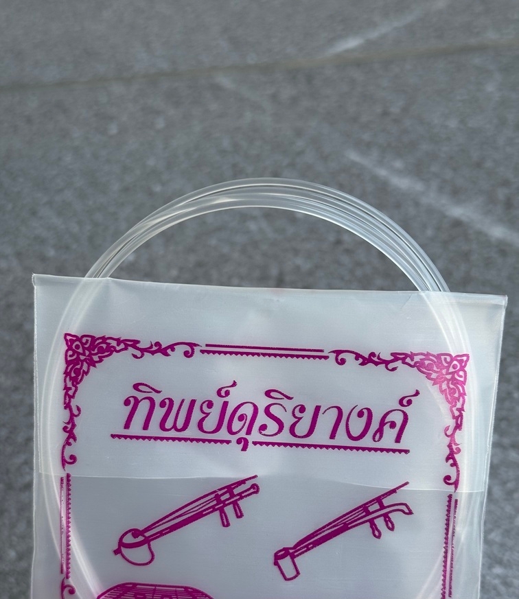 สายจะเข้ เอก ทุ้ม ลวด สายคุณภาพ ขนาดมาตรฐาน เสียงใส เลือกซื้อ แยก หรือ ครบชุด ได้