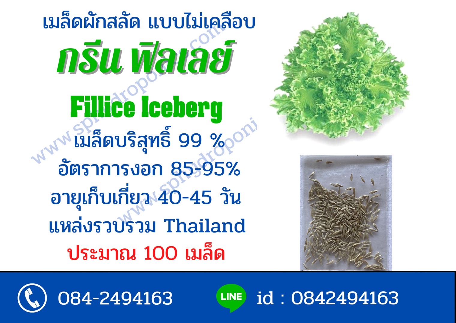 เมล็ดฟิลเลย์ ไม่เคลือบ ประมาณ 100 เมล็ด (ซื้อ 10 แถม 1)