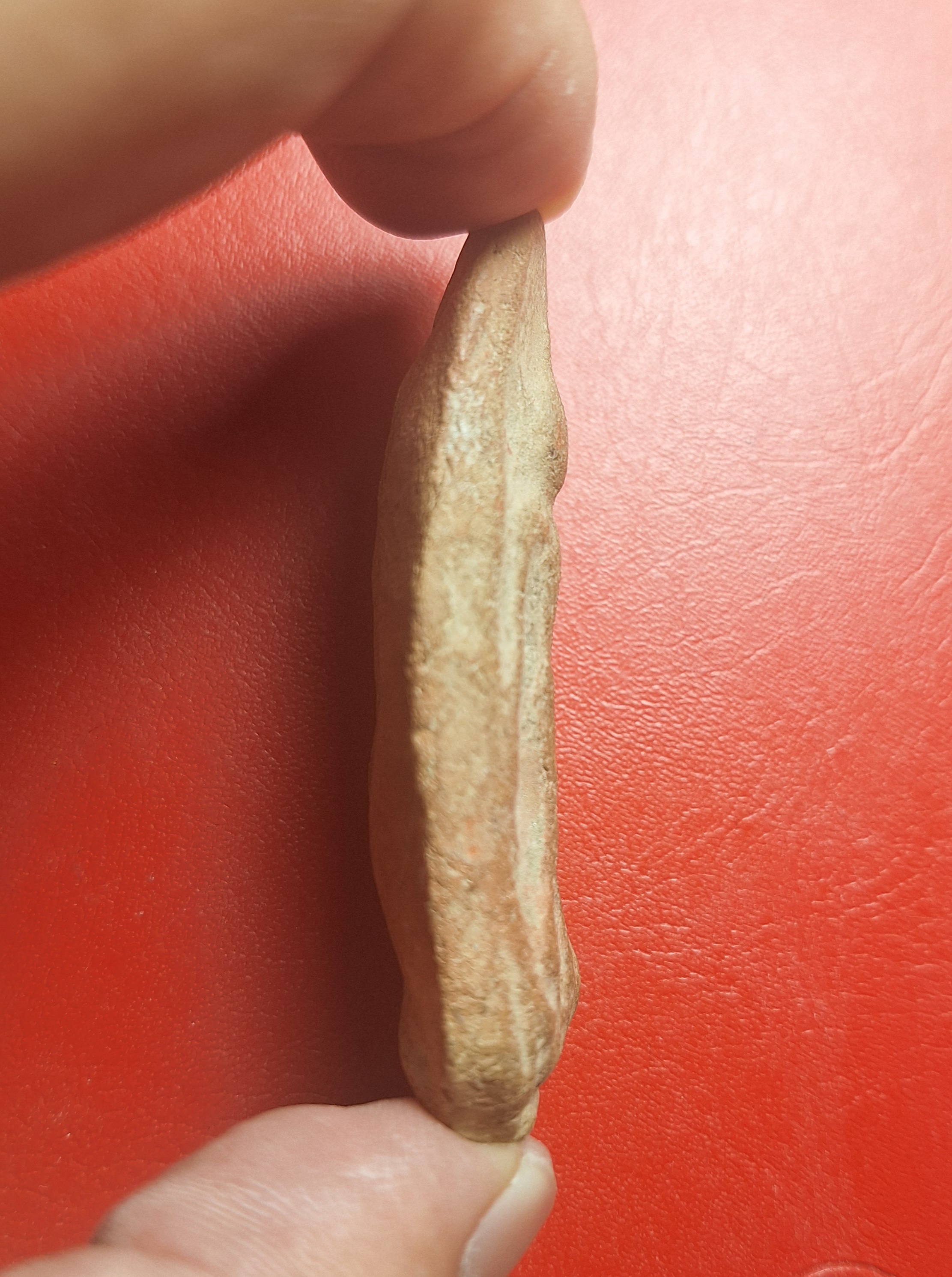 หลวงพ่อสุรินทร์ วัดลาดบัวขาว พระลีลา ทุ่งเหยียบดอก(องค์ที่8)