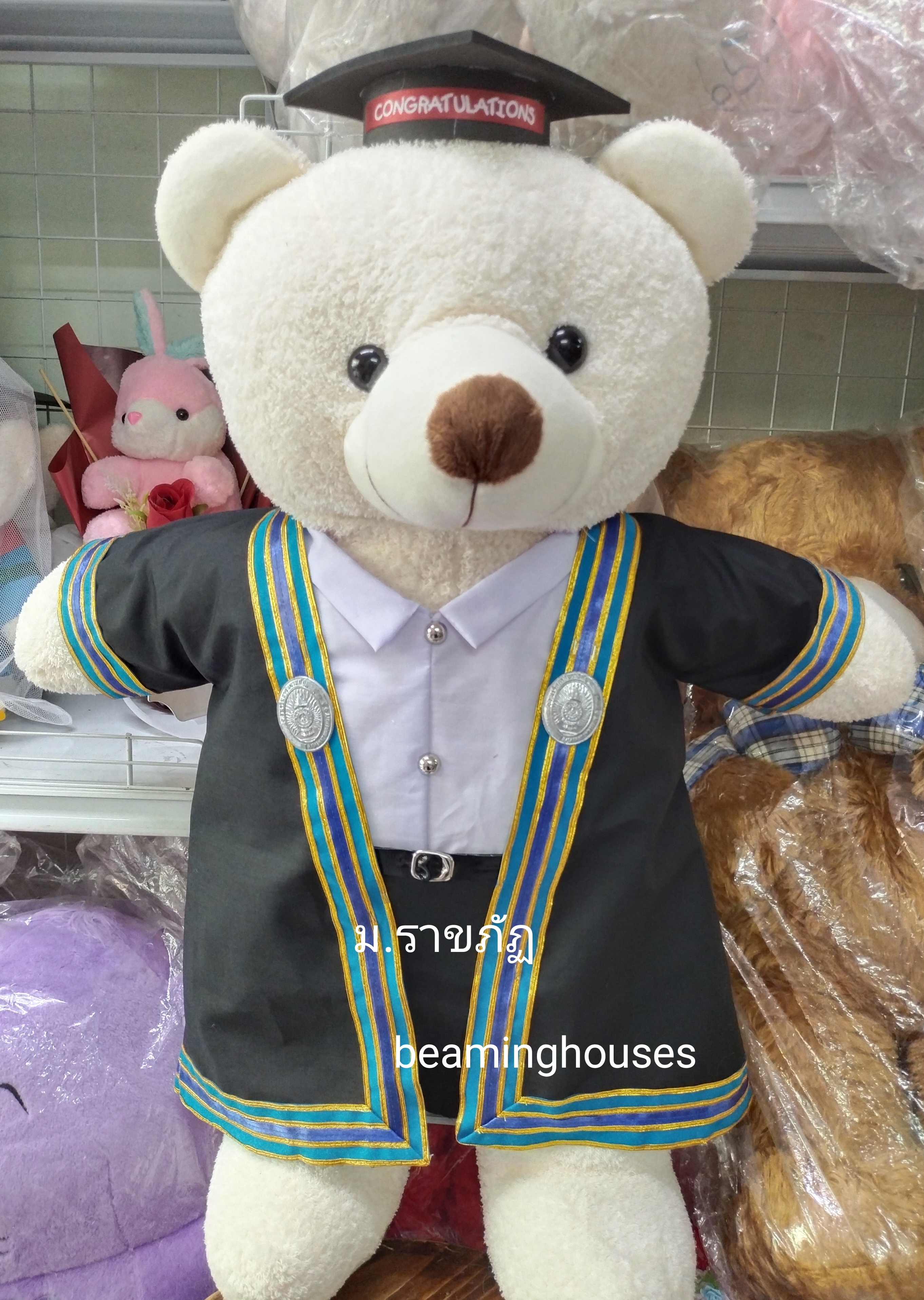 ตุ๊กตาหมีรับปริญญาม.ราชภัฎ สูง 65 cm