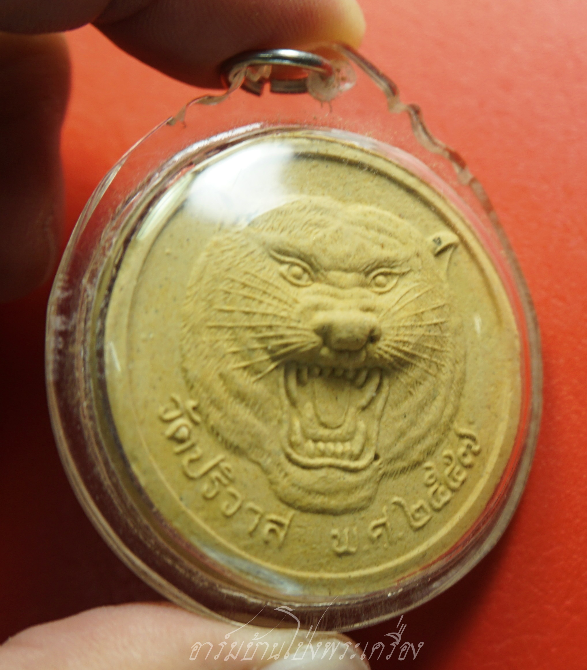 เสือ วัดปริวาส พ.ศ.๒๕๕๗ เนื้อผง สีเหลือง(องค์ที่1)