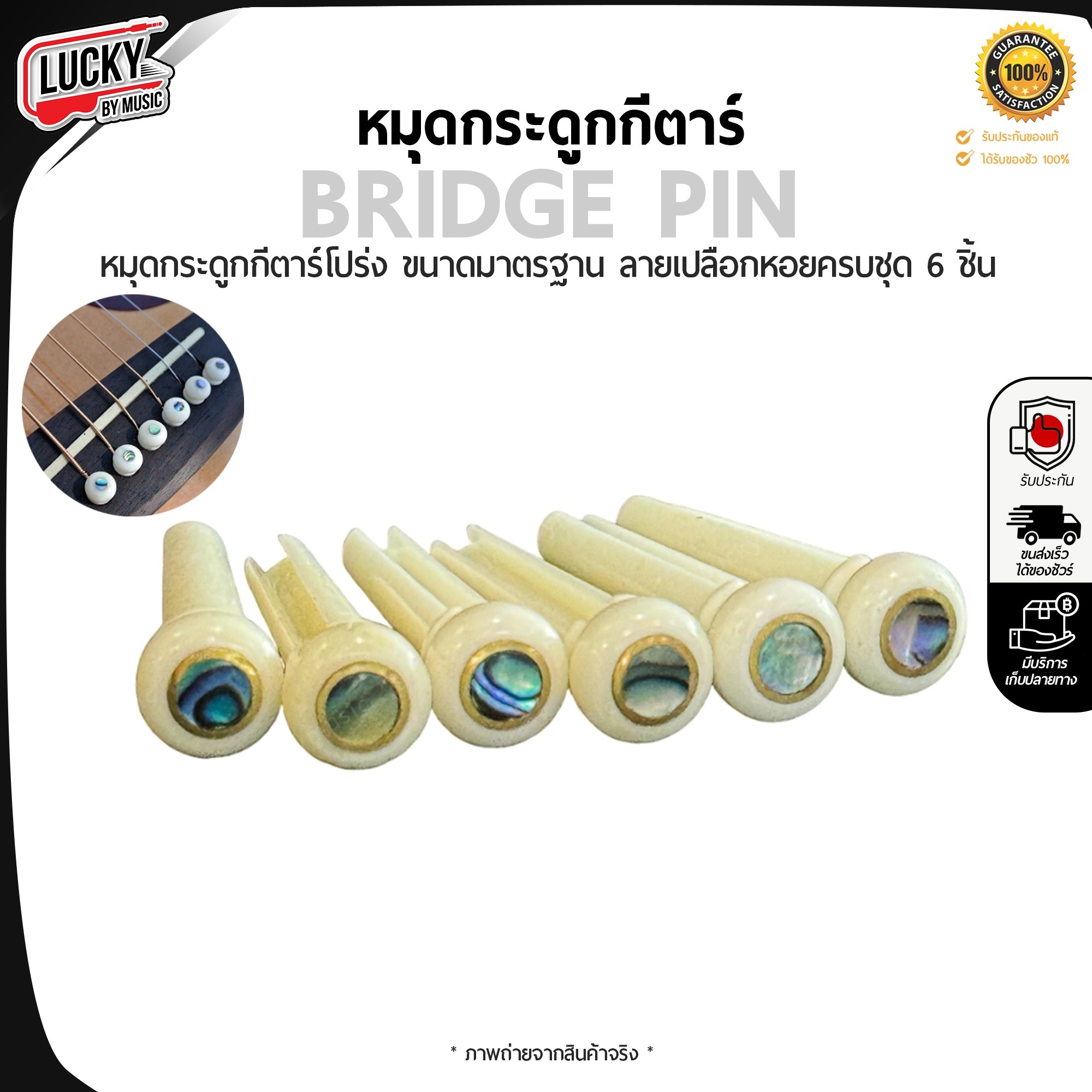 [พร้อมจัดส่ง!!] หมุดกีต้าร์โปร่ง แบบกระดูก มีลายเปลือกหอย Bridge Pin หมุดกีต้าร์ หมุดกระดูก สีขาว ครบชุด 6 ชิ้น