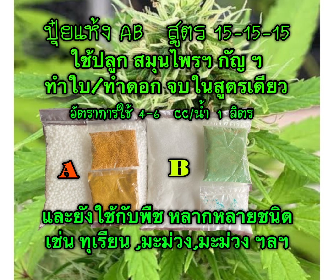 ปุ๋ยแห้ง A/B กัญชา ฯ สูตร 15-15-15 ชุด 5 ลิตร