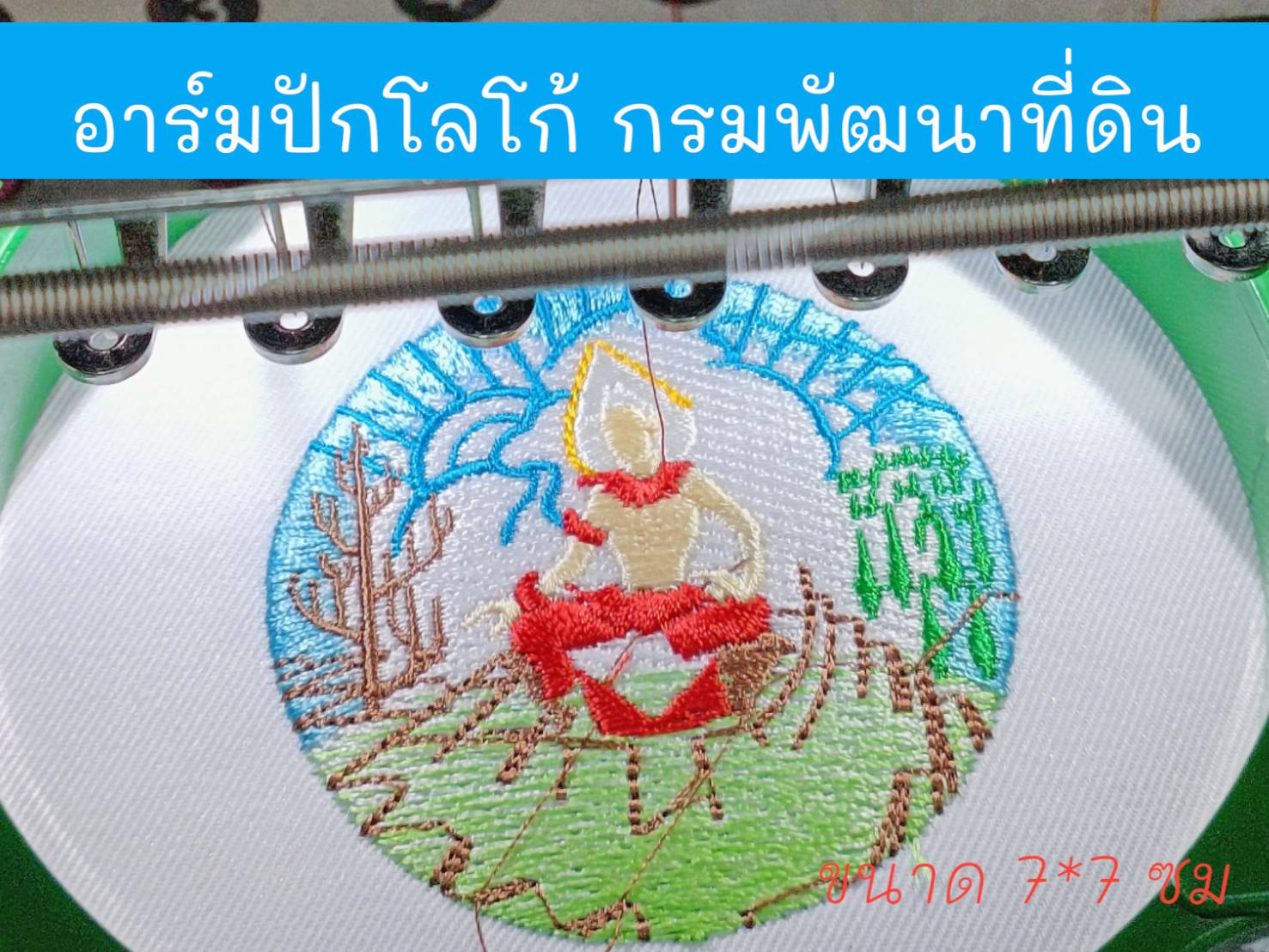 กรมพัฒนาที่ดิน