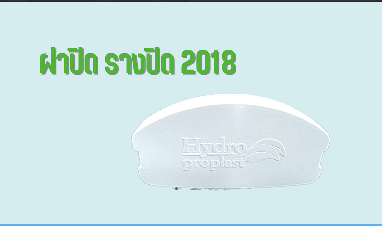 ฝาปิดราง (2018)