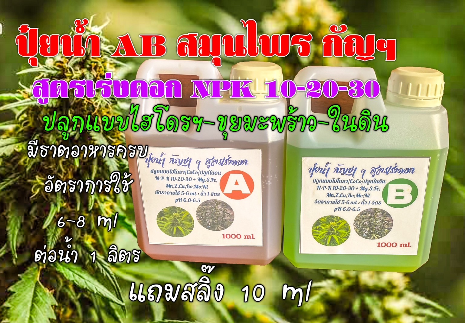 ปุ๋ยน้ำ AB กัญชา ฯ สูตร เร่งดอก 10-20-30 ชุดคู่ 1 ลิตร แถมไซริงค์ 10 cc