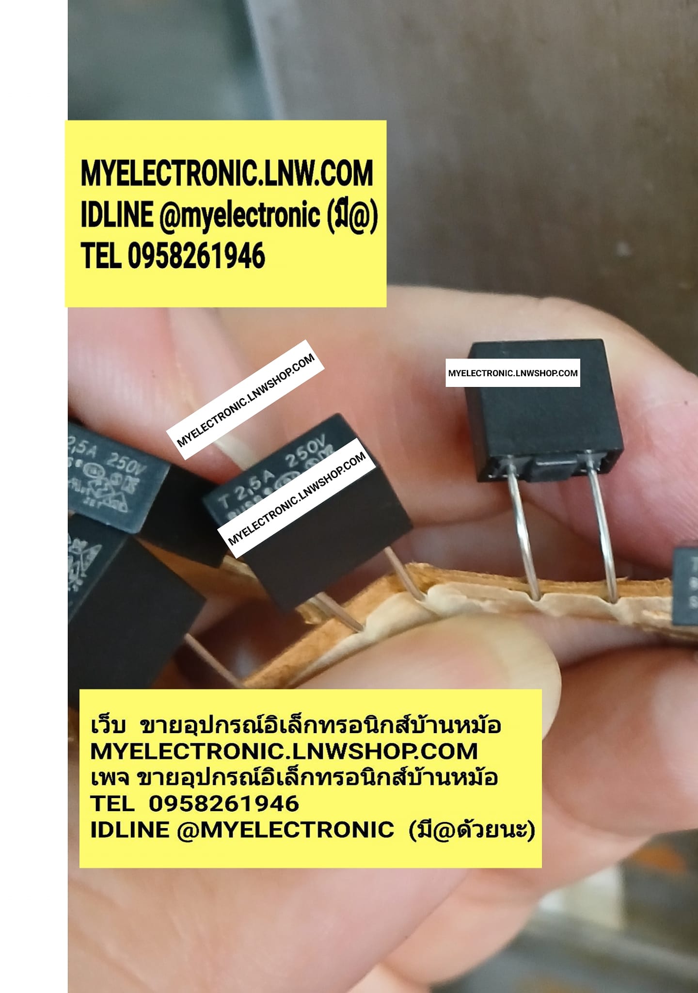 ขาย T2.5A250V TR5 ฟิวส์T2.5A250V TR5 ฟิวส์เหลี่ยมดำ ฟิวส์เหลี่ยมน้ำตาล ฟิวส์ลงปริ้นPCB ฟิวส์ออนบอร์ด FUSE ON-BOARD ฟิวส์ FUSE T2.5A250V TR5 ฟิวส์สองขา ลงปริ้น ราคา ตัวละ . . . . หน่วย บาท