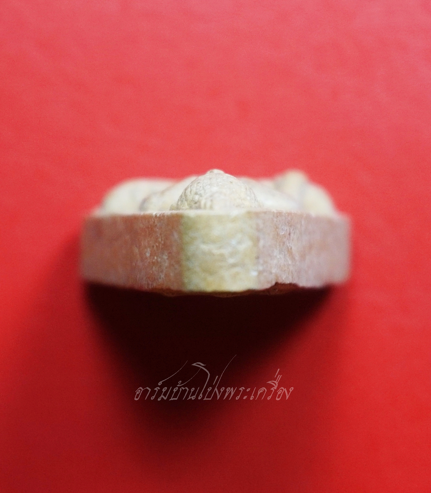 พระนางพญา วัดพวงมาลัย จ.เพชรบุรี เนื้อผงสีขาว(องค์ที่1)