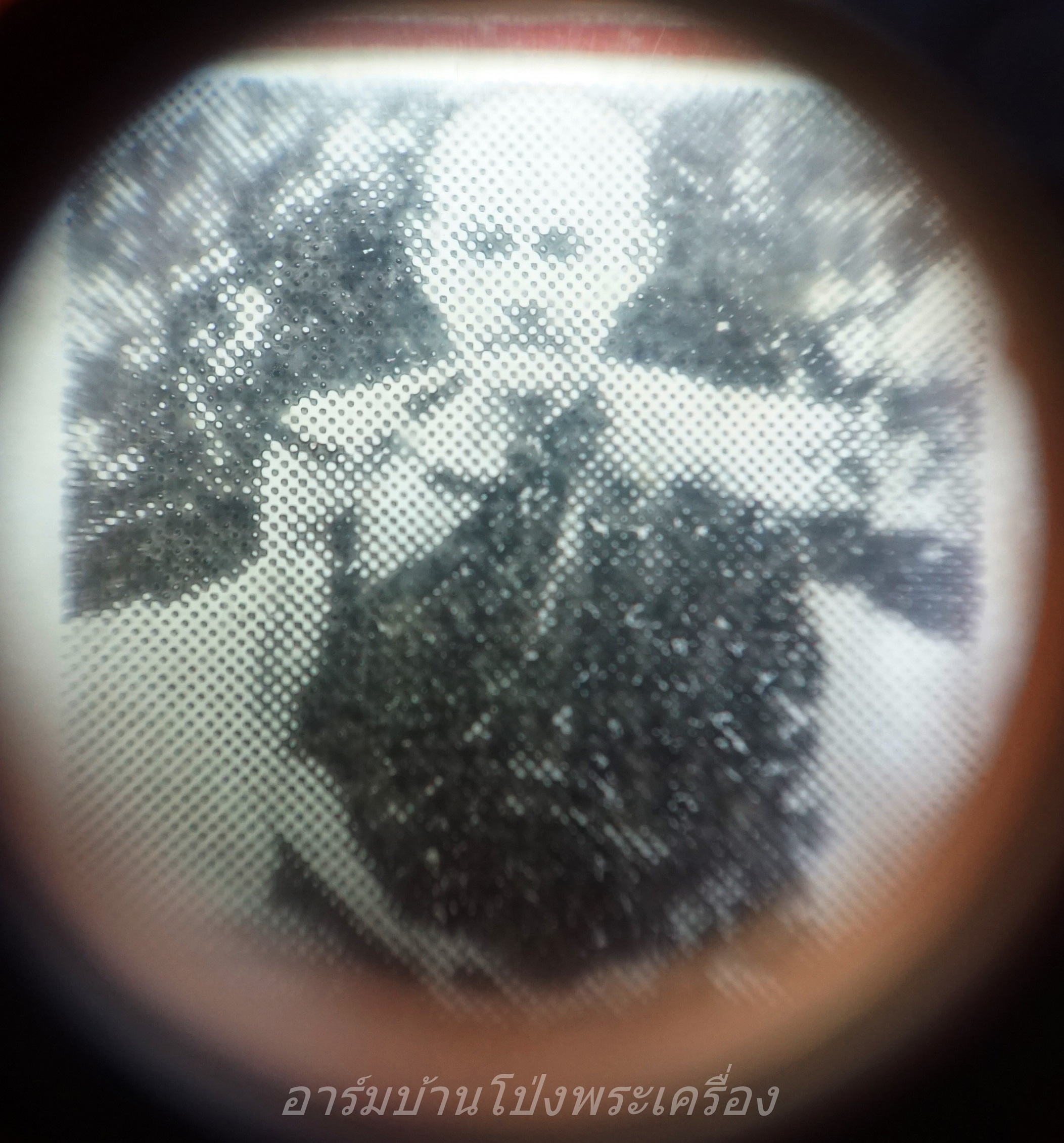 หลวงปู่มหาปิ่น ชลิโต วัดป่าพระธาตุเขาน้อย รูปถ่าย หลังพระอาจารย์มั่น(องค์ที่1)