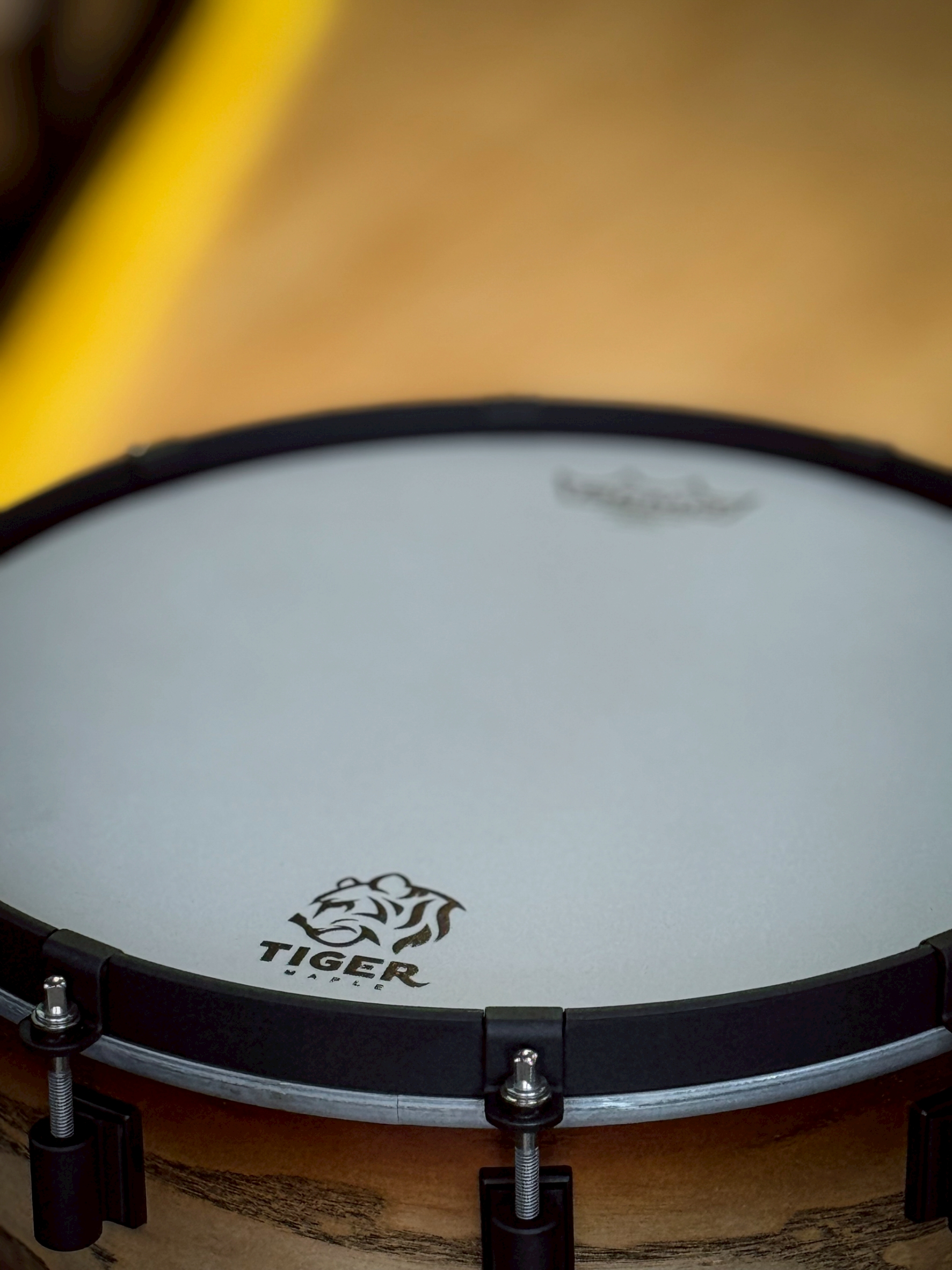 กลองสแนร์ CMC รุ่น Tiger Maple x Ass SB-B 14x6.5