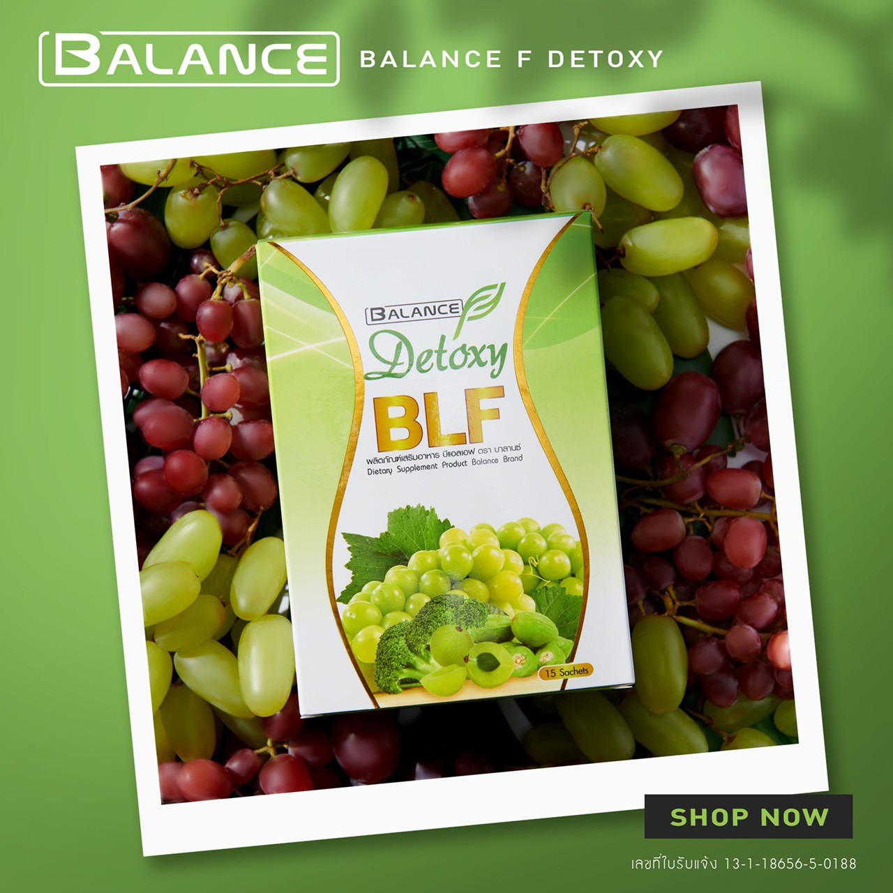 Balance BLF ดีท็อกซ์ (บีแอลเอฟ) บาลานซ์ ดีท็อกซ์ ช่วยระบบขับถ่าย ลดหน้าท้อง ขับของเสียตกค้างในลำไส้