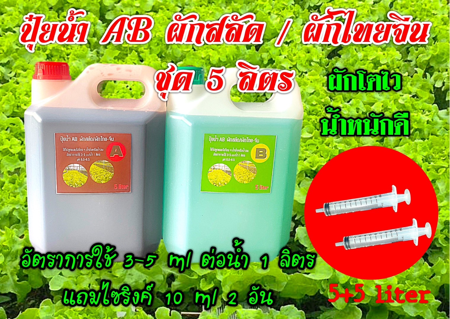 ปุ๋ยน้ำ A/B ผักสลัด แบบแกลลอน ชุดคู่ 5 ลิตร แถมไซริงค์ 10 ml 2 อัน