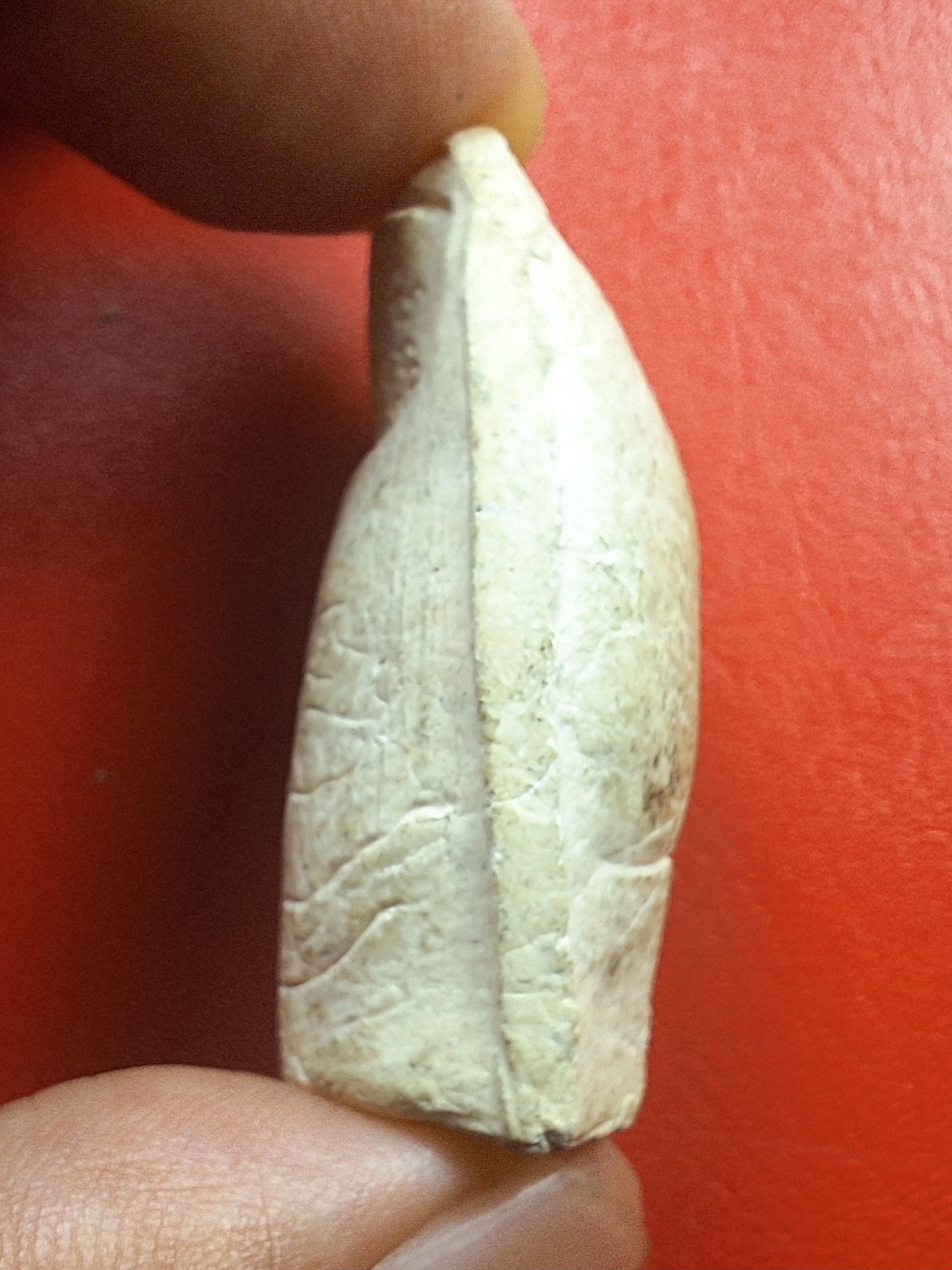 หลวงพ่อคูณ วัดบ้านไร่ นิ้วโป้งจำลอง ลงอักขระยันต์ ปี๒๕๓๖ เนื้อผง(องค์ที่17)