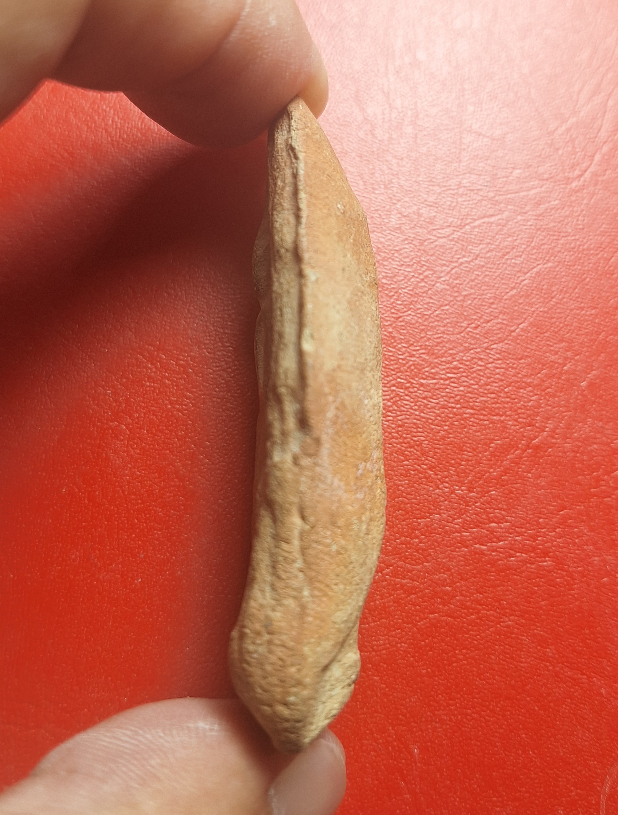 หลวงพ่อสุรินทร์ วัดลาดบัวขาว พระลีลา ทุ่งเหยียบดอก(องค์ที่8)